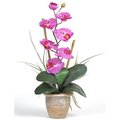 Nearly Natural Single Stem Phalaenopsis Silk Orchid Arrangement 1016-OR